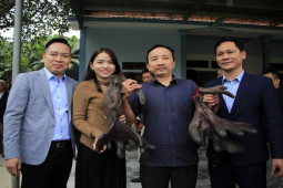 Cận cảnh cặp nhung nai “khủng” nhất Việt Nam được bán với giá hàng trăm triệu đồng