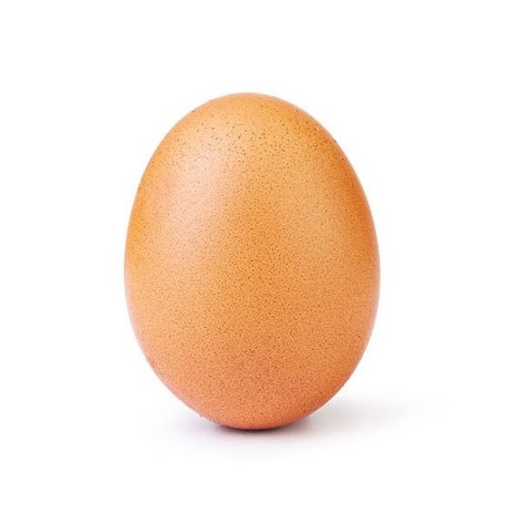 Bức ảnh chụp quả trứng bình thường thu về lượng thích kỷ lục trên Instagram. Ảnh: Instagram