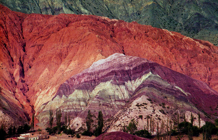 Quebrada de Humahuaca cũng có thảo nguyên, đồng cỏ, đầm lầy và môi trường ven sông. Có nhiều loài thực vật kỳ lạ thích nghi được với môi trường ở đây.
