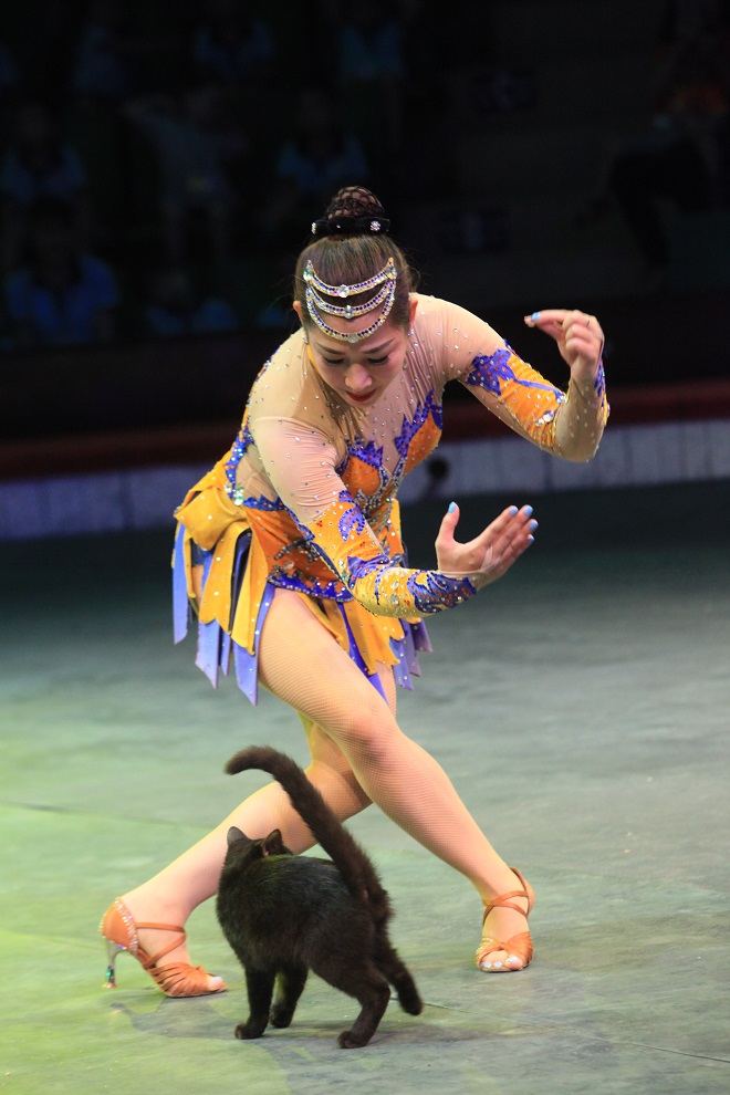 Chị Bùi Thu Trang nhảy múa với chú mèo của mình trên sân khấu