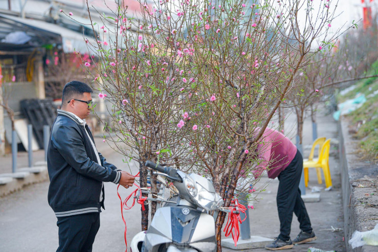 "Hoa đào nở sớm ít mẫu, đắt hơn chính vụ nên kén khách. Hầu như chỉ những người chơi hoa, những người như vậy kể cả cành đào giá 1 triệu, nếu ưng là mua ngay", một tiểu thương cho biết.