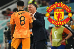 MU bị nghi ”lén lút” tiếp cận Van Gaal ở World Cup, nhờ vả chiêu mộ Gakpo