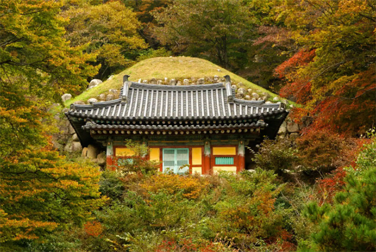 Khám phá Gyeongju, Thành phố cổ xinh đẹp nổi tiếng ở Hàn Quốc - hình ảnh 7