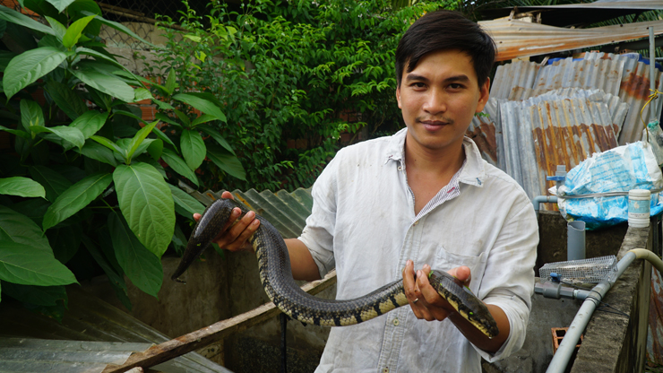 Anh Khanh nuôi rắn làm kinh tế, thu lãi hơn nửa tỷ đồng/năm.