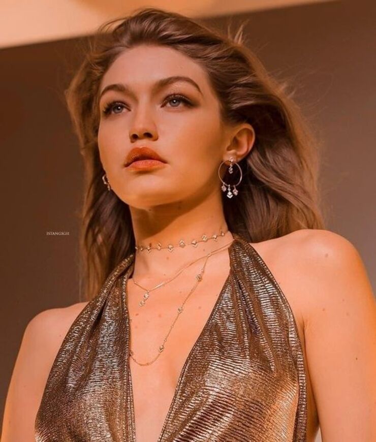 Gigi Hadid từng được vinh danh là Người mẫu của năm do tạp chí Daily Front Row bình chọn.&nbsp;
