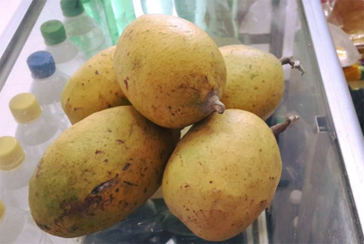 Dù nhiều người không biết đến nhưng đối với người dân ở Đồng Nai, Bình Dương và một vài khu vực lân cận khác, trái ngâu là một loại quả được bày bán khá phổ biến
