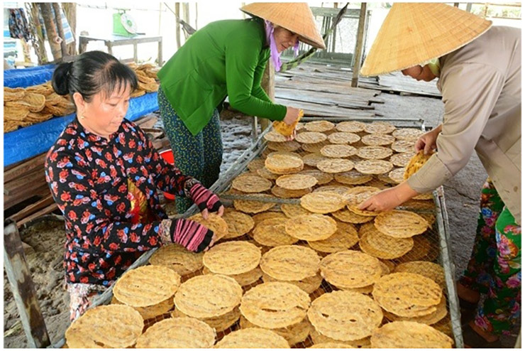 Để làm chuối ép khô phải chọn những buồng chuối thật già, quả càng già thì càng nhiều mật, khi ra thành phẩm sẽ thơm ngon hơn.
