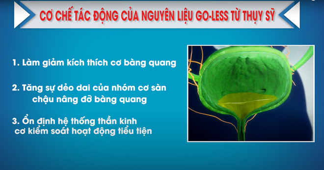 Cơ chế tác động toàn diện của nguyên liệu Go-Less&nbsp;