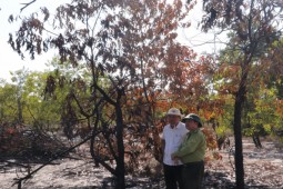 Đốt rừng… để diễn tập chữa cháy: Quảng Nam thừa nhận sai sót!