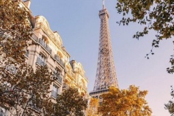 Côn trùng hút máu ồ ạt tấn công Paris