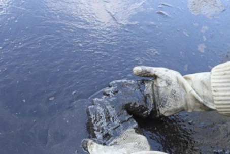 Truy tìm nguồn dầu thải đen kịt bao phủ mặt hồ Linh Đàm