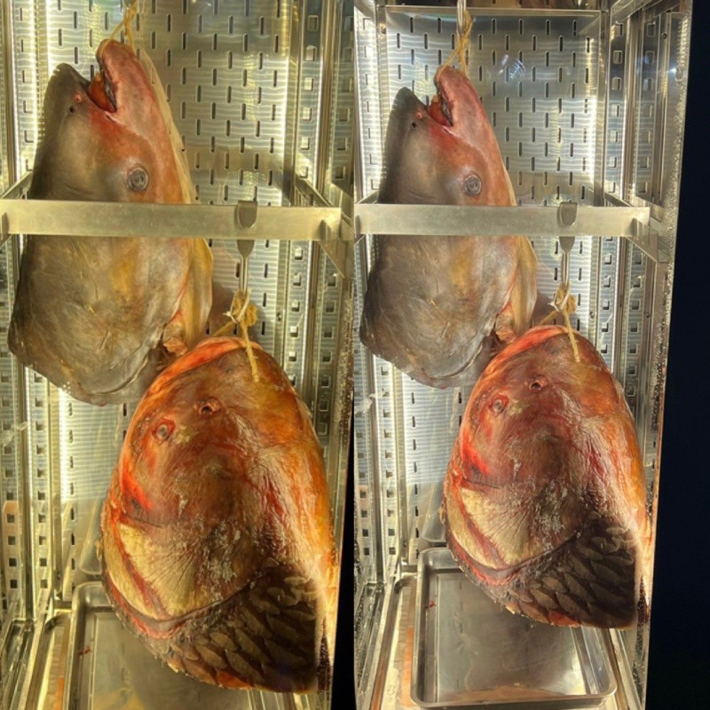 Hàng Dương Quán – điểm đến của các món ăn “độc lạ”, đặc biệt là cá ủ tươi - 3