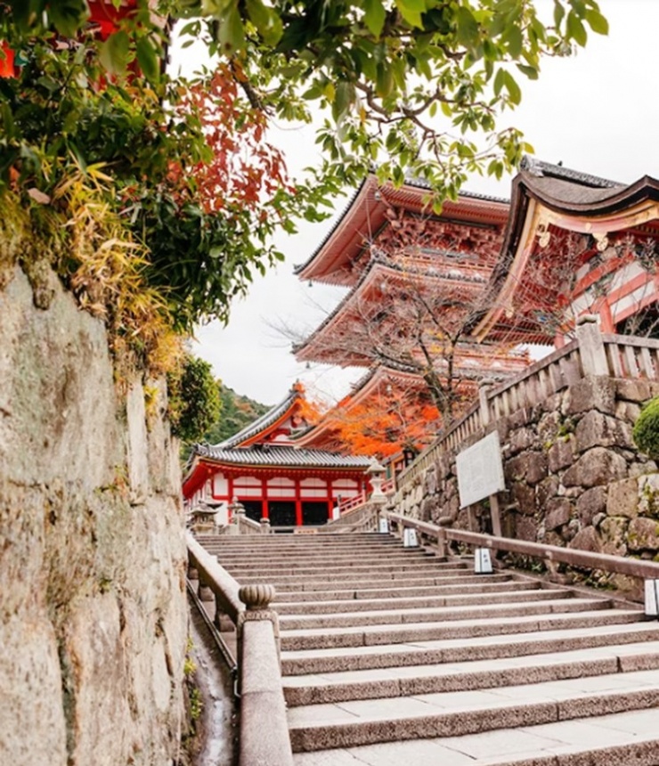 Mùa ngắm lá thu ở Kyoto - 8