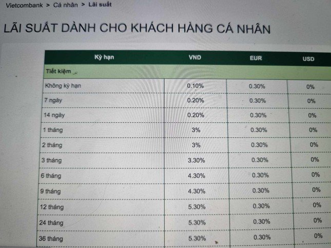 Lãi suất tiết kiệm thấp kỷ lục, người dân 'đổ tiền' vào đâu? - 1