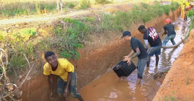 Các trợ lý của Quang Linh phải di dời cá giống sang ao khác