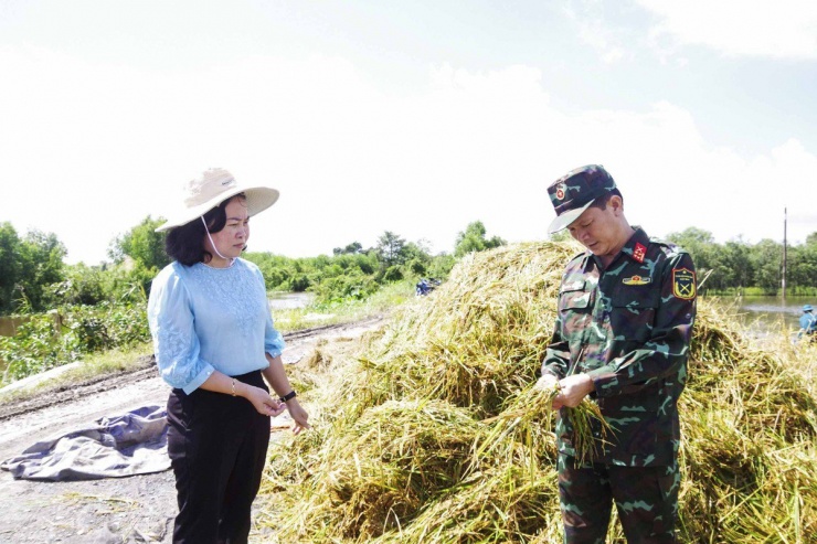 Long An: Chủ tịch UBND huyện ngâm mình giúp dân thu hoạch lúa bị ngập - 12