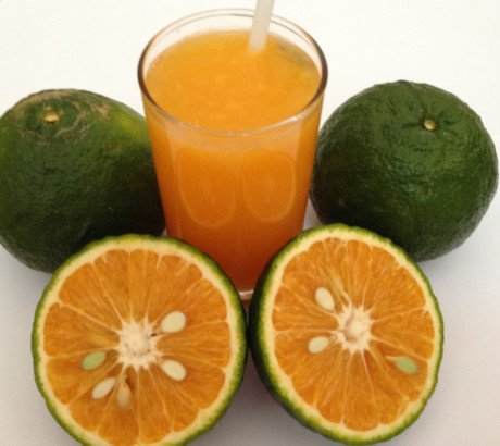 Người mắc bệnh dạ dày muốn uống nước cam nên thêm một thứ này, nước cam sẽ thơm ngon và bảo vệ dạ dày của bạn tốt hơn! - 1