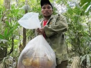 Tin tức trong ngày - Săn “lộc rừng” ở đại ngàn Trường Sơn