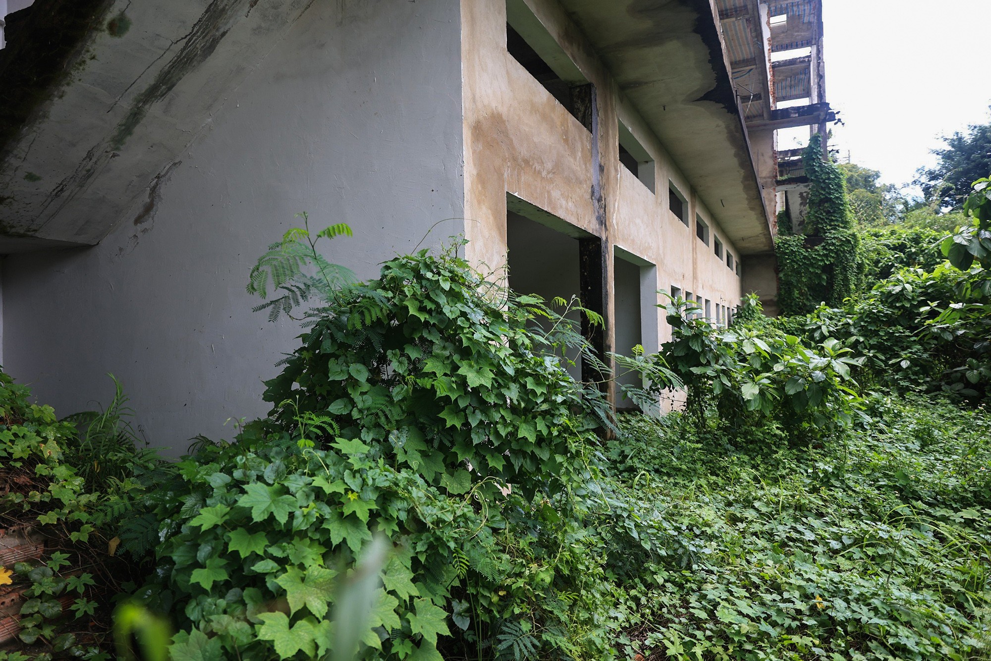 Cảnh hoang tàn bên trong hai dự án chung cư mini sai phạm ở TP.HCM - 5