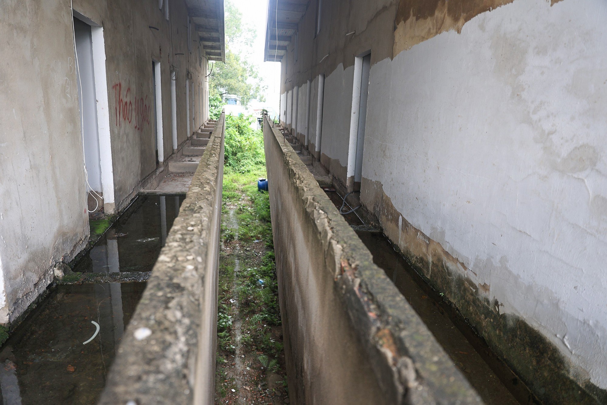 Cảnh hoang tàn bên trong hai dự án chung cư mini sai phạm ở TP.HCM - 9