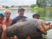 Media - Clip: Người đàn ông câu được cá chép khổng lồ nặng hơn 114kg