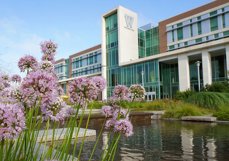 Khuôn viên ở Ann Arbor có một số bảo tàng, phòng trưng bày, bộ sưu tập nghệ thuật đa dạng, các buổi biểu diễn, sự kiện, tác phẩm triển lãm…
