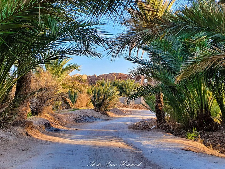 Garmeh, Iran: Ở giữa sa mạc Dasht-e Kavir thuộc miền trung Iran&nbsp;có một ốc đảo nhỏ tươi tốt tên là Garmeh. Mặc dù chỉ một số ít khách du lịch đến Iran tìm đường đến ốc đảo sa mạc vì đường đi hơi khó khăn, nhưng đây là một sa mạc muối khá độc đáo với những hồ và sông muối đầy ấn tượng.&nbsp;
