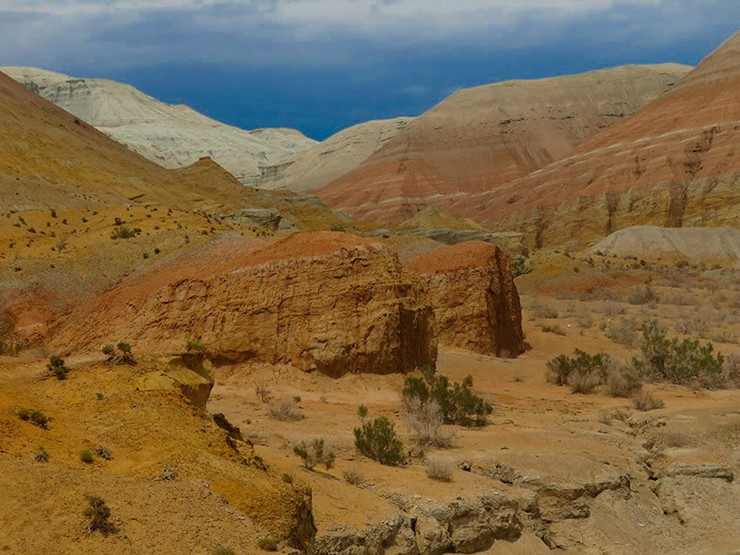 Vườn quốc gia Altyn Emel, Kazakhstan: Bản thân Kazakhstan đã là một điểm đến ít người biết đến ở châu Á, nhưng giờ lại ngày càng có thêm nhiều khách du lịch mỗi năm nhờ cảnh thiên nhiên rất đẹp. Bạn đừng bỏ qua Altyn Emel, một trong những công viên quốc gia đẹp tuyệt mà rất ít người biết đến.&nbsp;
