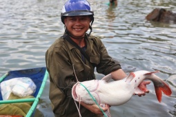 Hàng nghìn người đổ về chân đập thuỷ điện bắt cá “khủng”