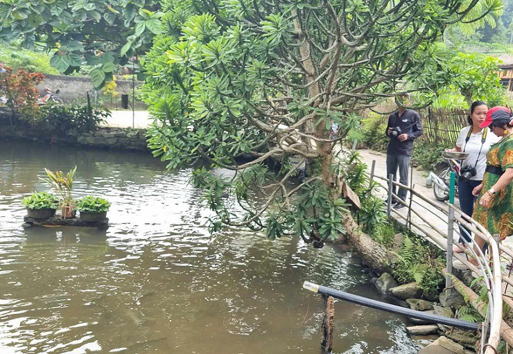 Loại cá đặc sản vùng cao có giá đắt đỏ: 500 nghìn/kg vẫn được khách săn lùng - 1