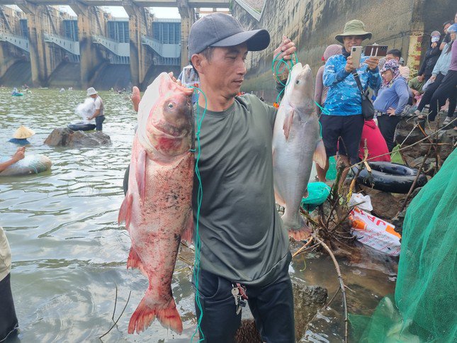 Nhiều loại cá được người dân bắt như cá mè, cá lăng, cá leo, cá tra… Có những con cá “khủng” 5 – 7kg đến trên 10kg.