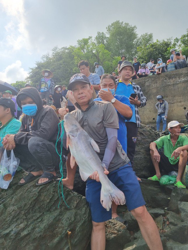 Anh Phan Minh Trung ở TP Biên Hòa mua được một con cá tra dầu 10kg