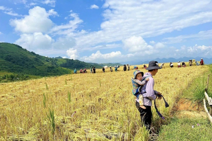 Cảnh sắc ở bản người Mông khiến du khách thương nhớ không nguôi - 27