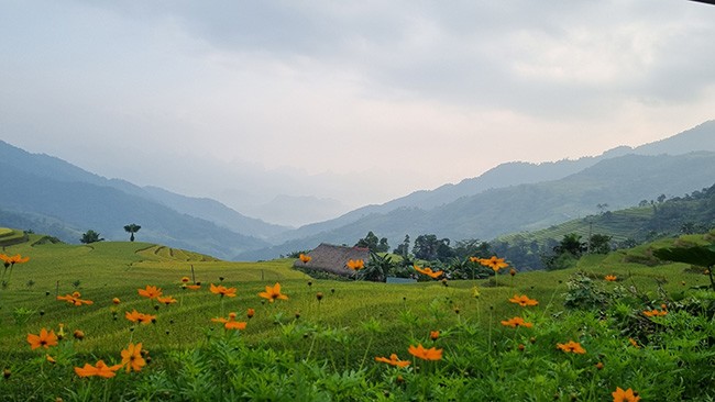 Những mái nhà rêu có một không hai tại bản người Dao bên sườn Tây Côn Lĩnh - 5