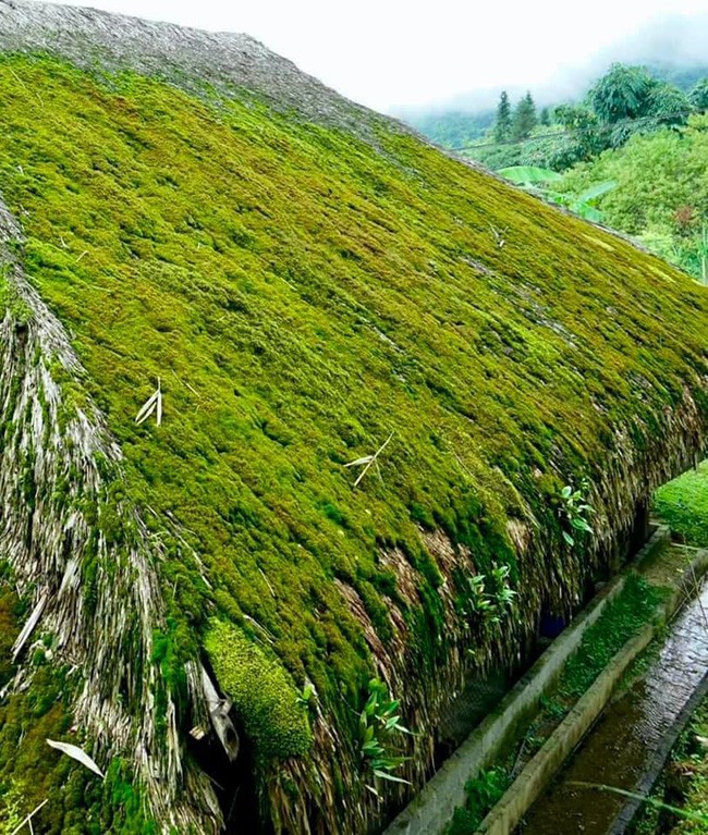Những mái nhà rêu có một không hai tại bản người Dao bên sườn Tây Côn Lĩnh - 8