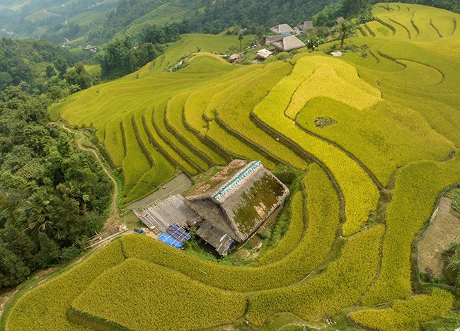 Những mái nhà rêu có một không hai tại bản người Dao bên sườn Tây Côn Lĩnh - 11