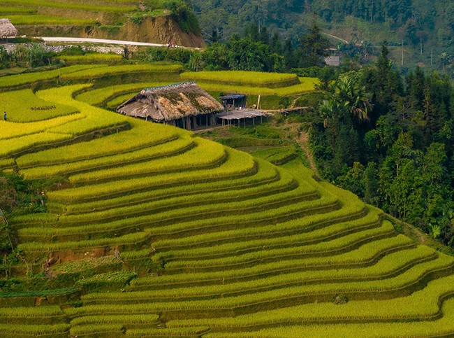Những mái nhà rêu có một không hai tại bản người Dao bên sườn Tây Côn Lĩnh - 12
