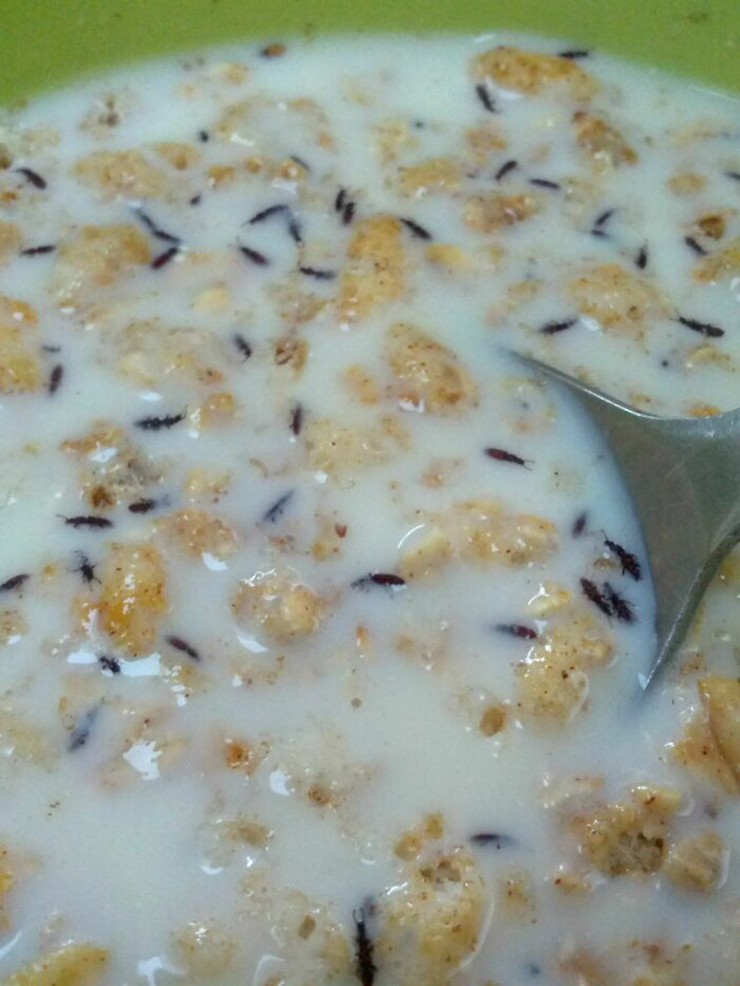 Tôi đã ăn món này trong một phút trước khi nhận ra đó không phải là ngũ cốc trong món granola của tôi.
