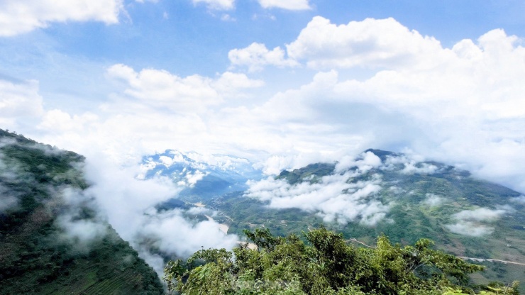 Hoa tam giác mạch phủ hồng 'thảo nguyên Thụy Sĩ giữa lòng Hà Giang' - 7