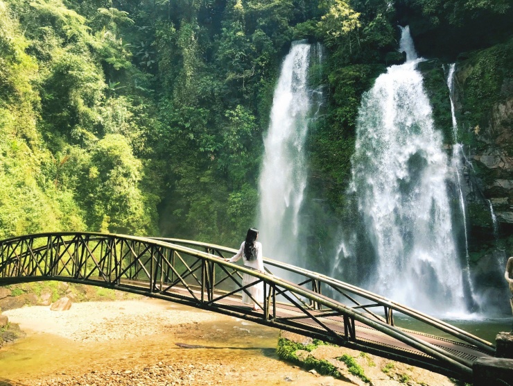 Hoa tam giác mạch phủ hồng 'thảo nguyên Thụy Sĩ giữa lòng Hà Giang' - 14