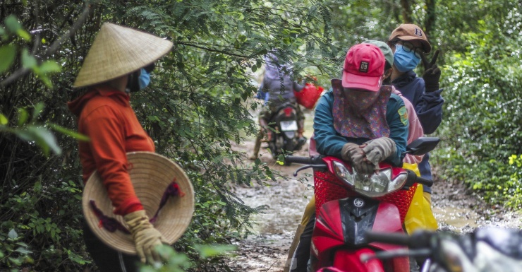 Không chỉ riêng huyện Phù Cát, loại nấm này cũng mọc nhiều tại một số xã ở huyện Tây Sơn, Phù Mỹ. Trong ảnh, người dân tập trung đi hái nấm. (Ảnh: Trương Định)