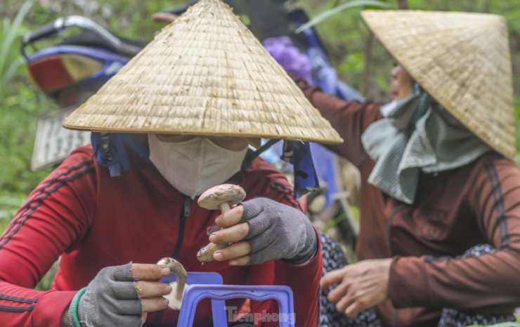 Người dân ngồi nghỉ xem thành quả sau nhiều giờ băng rừng tìm nấm. (Ảnh: Trương Định)