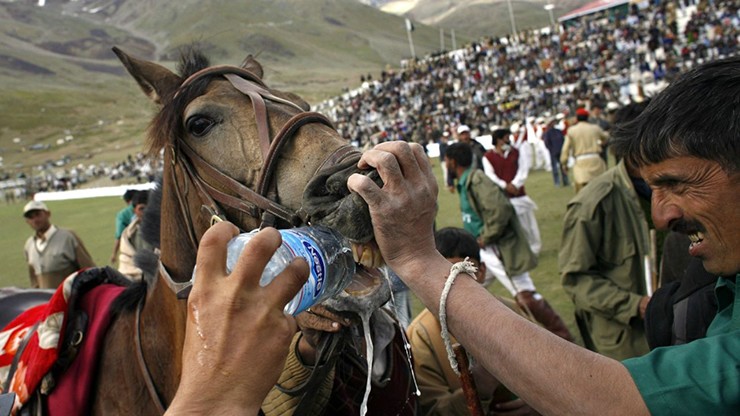 Giải đấu Shandur Polo, Pakistan: Nếu là một người hâm mộ polo cuồng nhiệt, bạn sẽ mong muốn tận mắt xem giải đấu Shandur Polo, vì đây có lẽ là giải đấu polo xa xôi nhất trên thế giới. Được tổ chức vào tháng 7 hằng năm tại đèo Shandur của Pakistan, sự kiện diễn ra ở độ cao khoảng 3.700m so với mực nước biển.&nbsp;
