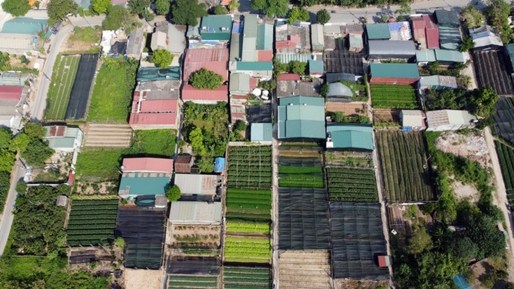 Quan sát từ trên cao có thể thấy rất rõ, các công trình “mọc” trên đất nông nghiệp nằm sát nhau, xen kẽ với các ruộng trồng hoa.