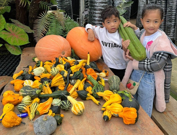 Với hình thù độc lạ, màu sắc phong phú bí đỏ mini đang là sản phẩm thu hút sự yêu thích của nhiều em nhỏ. Ảnh: THU HÀ