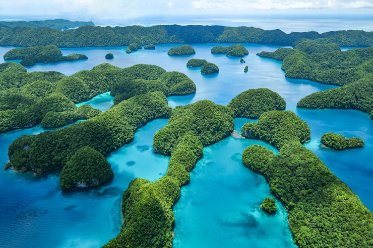 Trong chuyến tham quan bằng tàu cao tốc đến quần đảo Rock của Palau, bạn có thể tham gia nhiều hoạt động thú vị như bơi trong đầm nước màu ngọc lam sáng có biệt danh là Dải Ngân hà, đi bộ trên bãi cát trắng mềm Long Beach, và thậm chí lặn bằng ống thở trong hồ nước trong vắt.
