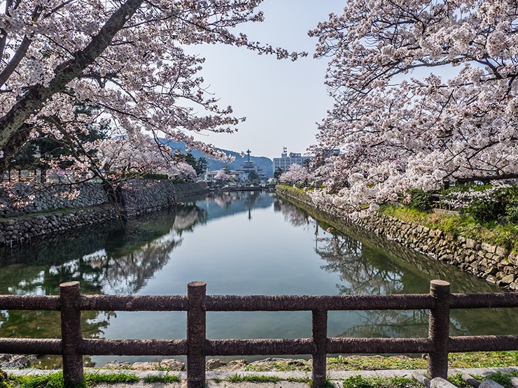 Lâu đài Tottori vẫn còn lưu giữ lại nhiều tàn tích trước đây. Khu vực xung quanh lâu đài trở thành công viên, mùa xuân mọi người thường tới đây ngắm hoa anh đào.
