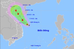 Áp thấp nhiệt đới đang ngược ra Bắc bộ, có khả năng mạnh lên thành bão