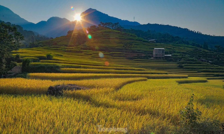 Những tọa độ check-in ruộng bậc thang đẹp nhất Hà Giang - 6