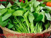 Ẩm thực - Loại rau giúp người Nhật sống thọ, bán đầy chợ Việt, giá lại rẻ bèo